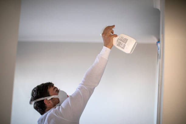 Best Localized Mold Remediation (e.g., coastal areas, humid climates) in Evansville, WY