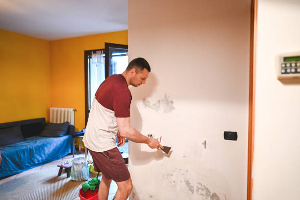 Best Preventive Mold Services in Evansville, WY